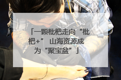 一颗枇杷走向“枇杷+” 山海资源成为“聚宝盆”