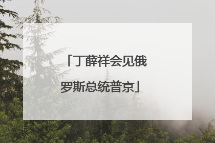丁薛祥会见俄罗斯总统普京