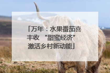 万年：水果番茄喜丰收 “甜蜜经济”激活乡村新动能