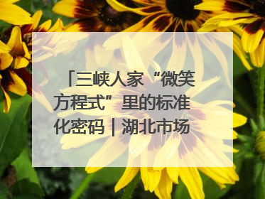 三峡人家“微笑方程式”里的标准化密码｜湖北市场监管所的故事