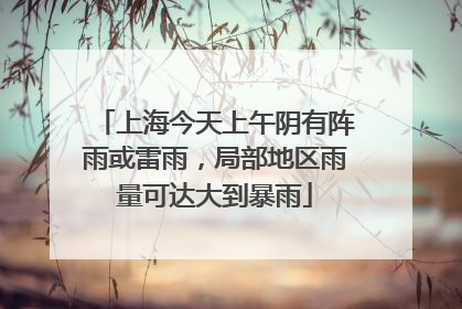 上海今天上午阴有阵雨或雷雨，局部地区雨量可达大到暴雨