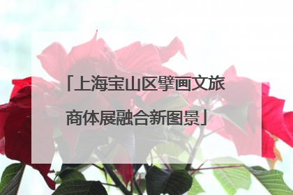 上海宝山区擘画文旅商体展融合新图景