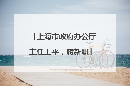 上海市政府办公厅主任王平，履新职