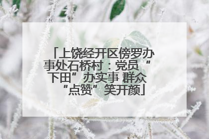 上饶经开区傍罗办事处石桥村：党员“下田”办实事 群众“点赞”笑开颜