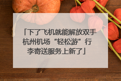 下了飞机就能解放双手 杭州机场“轻松游”行李寄送服务上新了