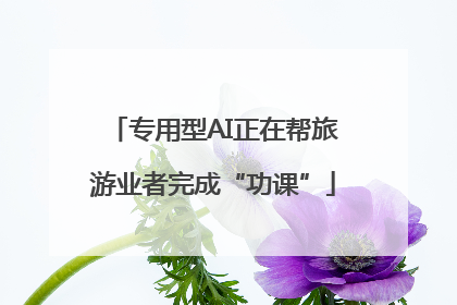 专用型AI正在帮旅游业者完成“功课”