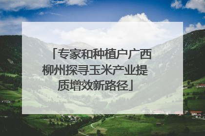 专家和种植户广西柳州探寻玉米产业提质增效新路径