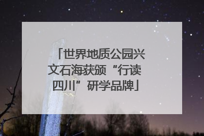 世界地质公园兴文石海获颁“行读四川”研学品牌