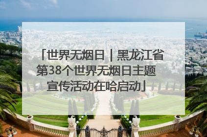 世界无烟日｜黑龙江省第38个世界无烟日主题宣传活动在哈启动