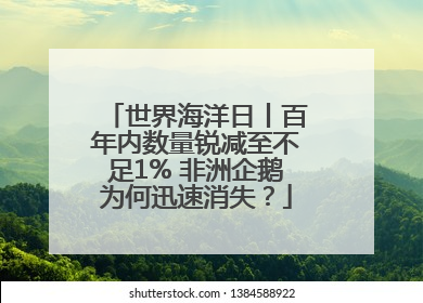 世界海洋日丨百年内数量锐减至不足1% 非洲企鹅为何迅速消失？