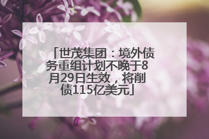 世茂集团：境外债务重组计划不晚于8月29日生效，将削债115亿美元
