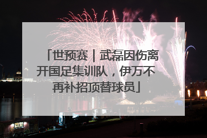 世预赛｜武磊因伤离开国足集训队，伊万不再补招顶替球员