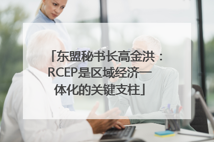 东盟秘书长高金洪：RCEP是区域经济一体化的关键支柱
