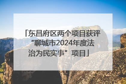 东昌府区两个项目获评“聊城市2024年度法治为民实事”项目