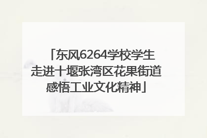 东风6264学校学生走进十堰张湾区花果街道感悟工业文化精神