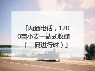 两通电话，1200亩小麦一站式收储（三夏进行时）