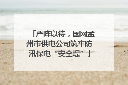 严阵以待，国网孟州市供电公司筑牢防汛保电“安全堤”