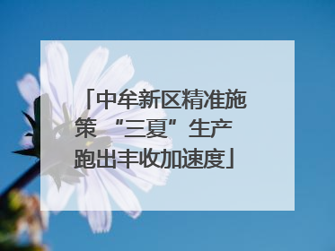中牟新区精准施策 “三夏”生产跑出丰收加速度