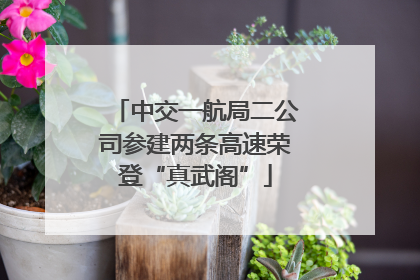 中交一航局二公司参建两条高速荣登“真武阁”