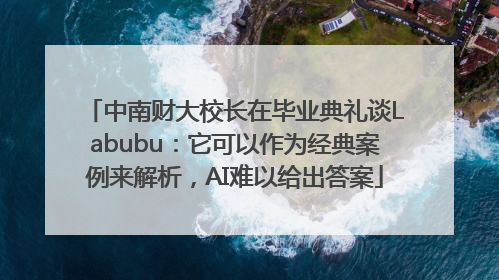 中南财大校长在毕业典礼谈Labubu：它可以作为经典案例来解析，AI难以给出答案