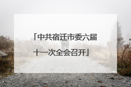 中共宿迁市委六届十一次全会召开