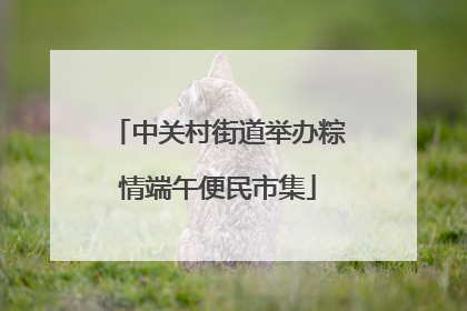 中关村街道举办粽情端午便民市集