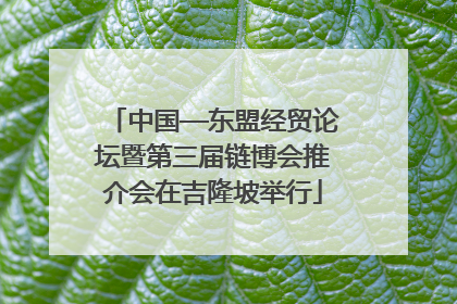 中国—东盟经贸论坛暨第三届链博会推介会在吉隆坡举行