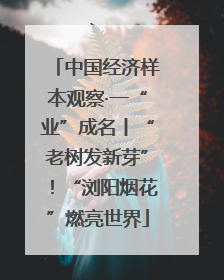中国经济样本观察·一“业”成名丨“老树发新芽”！“浏阳烟花”燃亮世界