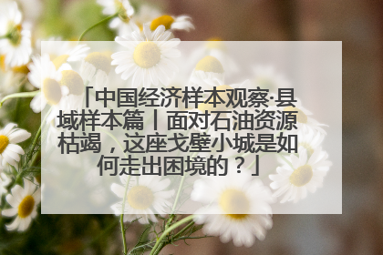 中国经济样本观察·县域样本篇丨面对石油资源枯竭，这座戈壁小城是如何走出困境的？