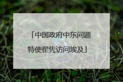 中国政府中东问题特使翟隽访问埃及