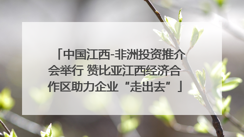 中国江西-非洲投资推介会举行 赞比亚江西经济合作区助力企业“走出去”