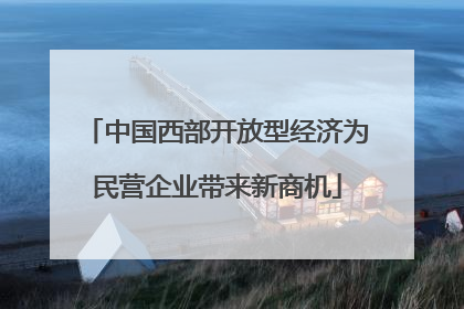 中国西部开放型经济为民营企业带来新商机
