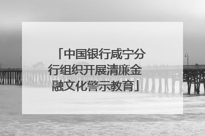 中国银行咸宁分行组织开展清廉金融文化警示教育