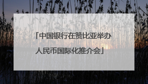 中国银行在赞比亚举办人民币国际化推介会