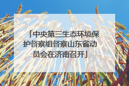 中央第三生态环境保护督察组督察山东省动员会在济南召开