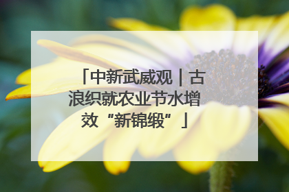 中新武威观｜古浪织就农业节水增效“新锦缎”