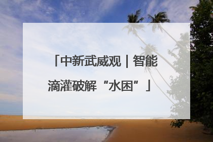 中新武威观｜智能滴灌破解“水困”