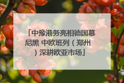 中豫港务亮相德国慕尼黑 中欧班列（郑州）深耕欧亚市场