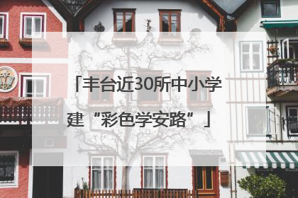 丰台近30所中小学建“彩色学安路”
