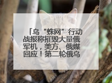 乌“蛛网”行动战报称摧毁大量俄军机，美方、俄媒回应！第二轮俄乌谈判在即，乌克兰提出三大诉求