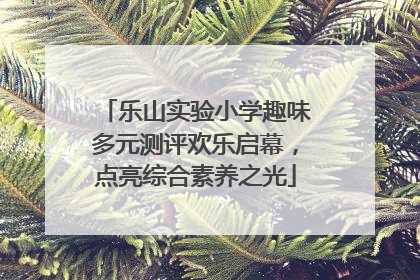 乐山实验小学趣味多元测评欢乐启幕，点亮综合素养之光