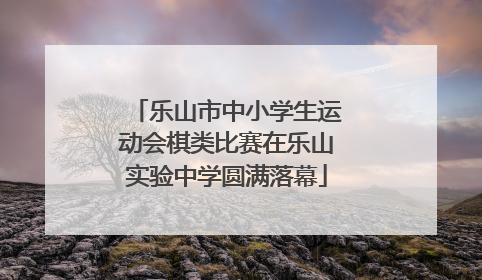 乐山市中小学生运动会棋类比赛在乐山实验中学圆满落幕