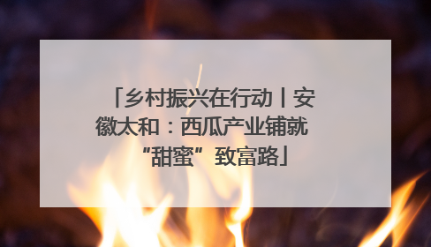 乡村振兴在行动丨安徽太和：西瓜产业铺就“甜蜜”致富路