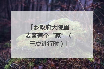 乡政府大院里，麦客有个“家”（三夏进行时）