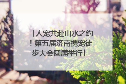 人宠共赴山水之约！第五届济南携宠徒步大会圆满举行