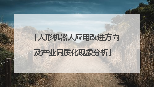 人形机器人应用改进方向及产业同质化现象分析