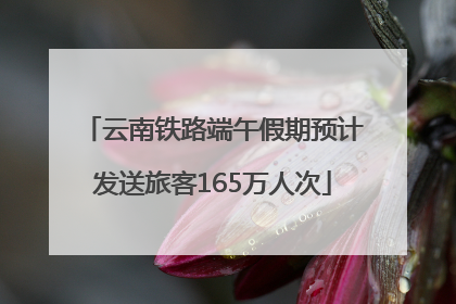 云南铁路端午假期预计发送旅客165万人次