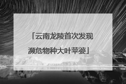 云南龙陵首次发现濒危物种大叶苹婆