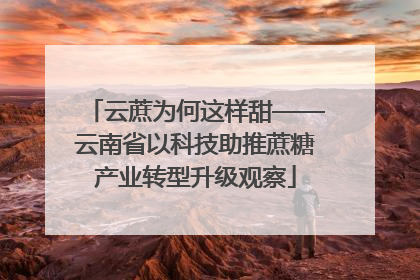 云蔗为何这样甜——云南省以科技助推蔗糖产业转型升级观察
