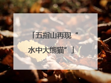 五指山再现“水中大熊猫”
